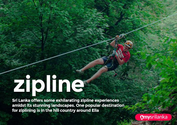 Zipline Ride