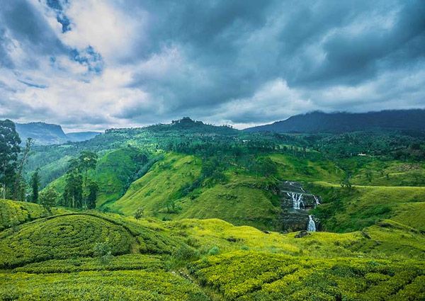 Nuwara Eliya