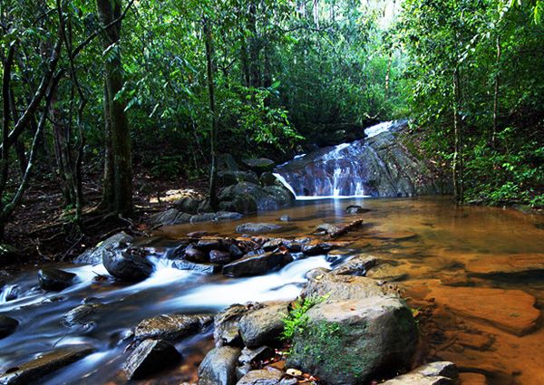 Sinharaja Forest Reserve